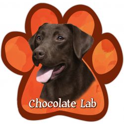 Chocolate Labrador Car Magnet