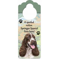 Springer Spaniel 