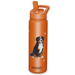 Bernese Mt. Dog Water Bottle