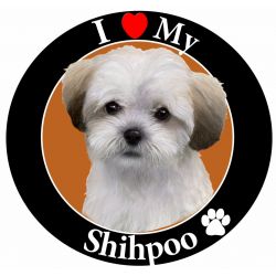 Shihpoo