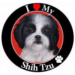 Shih Tzu, black and white puppy cut