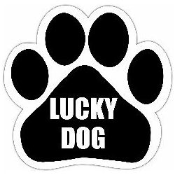 Lucky dog Car Magnet