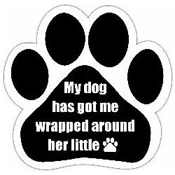 My dog has got me wrapped around her little (paw) Car Magnet