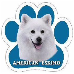 American Eskimo Car Magnet