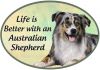 Australian Shepherd  Euro Magnet