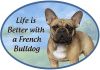 French Bulldog  Euro Magnet