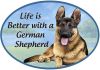 German Shepherd  Euro Magnet
