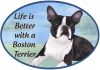 Boston Terrier  Euro Magnet