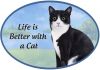 Black and White cat Euro Magnet