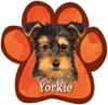 Yorkie Pup Car Magnet