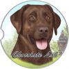 Labrador, Chocolate car coaster