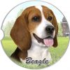 Beagle car coaster