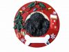 Poodle, black  Christmas Ornament Wholesale
