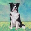 Border Collie Laying Stone Coasters