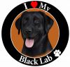 Labrador, black