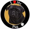Pug, black