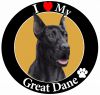 Great Dane, black