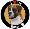 Boxer, Uncropped