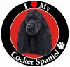 Cocker Spaniel, black