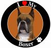 Boxer, Cropped