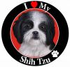Shih Tzu, black and white puppy cut