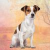 Jack Russell Sitting Stone Coasters
