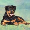 Rottweiler Laying Stone Coasters