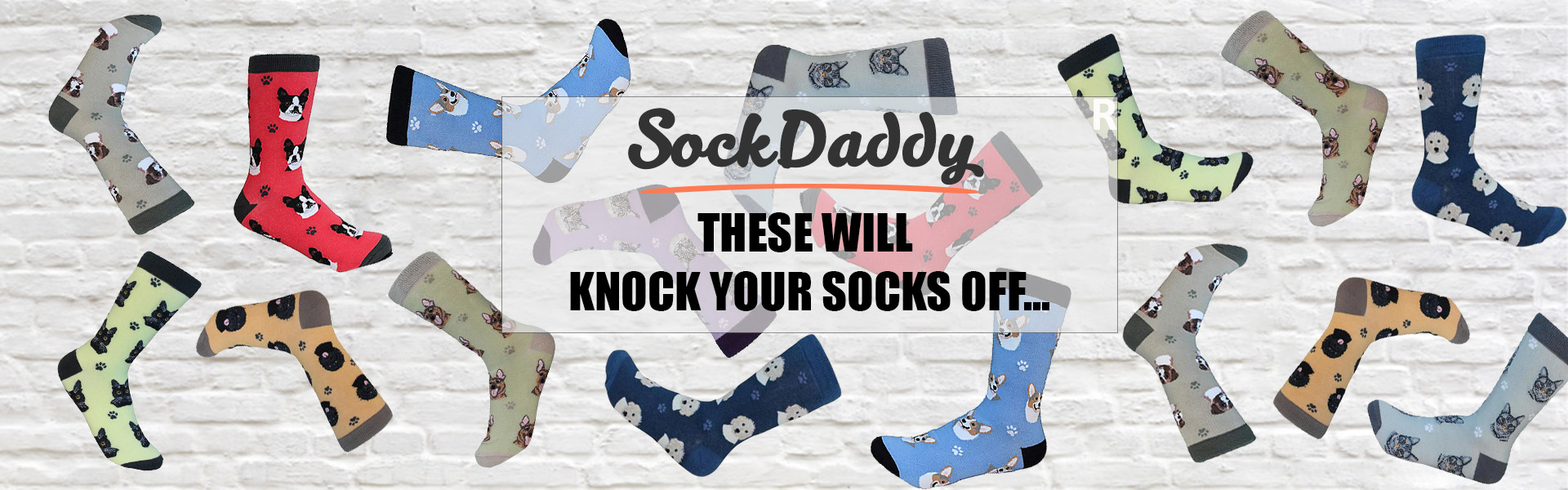 Sock Daddy- Pet Lover Socks Wholesale